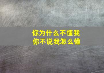 你为什么不懂我 你不说我怎么懂